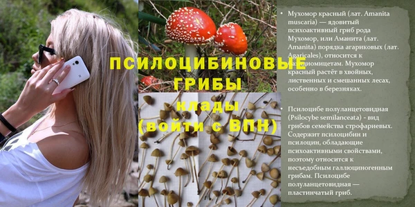 бошки Богородск