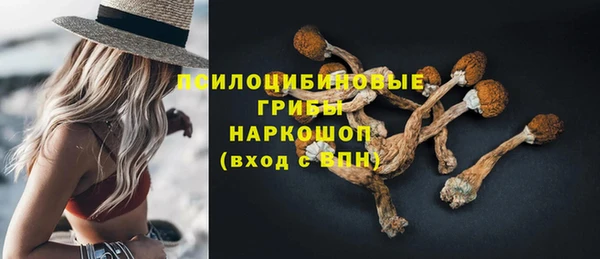 бошки Богородск