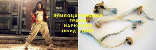 прущие крисы Богородицк