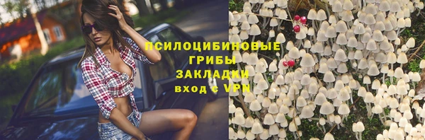 бошки Богородск