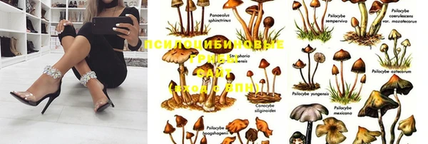кокс Богданович