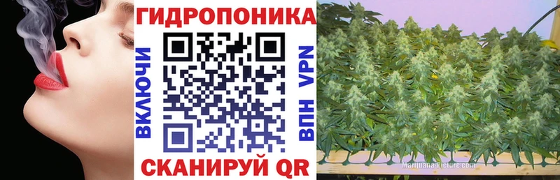 Конопля White Widow  Хвалынск 